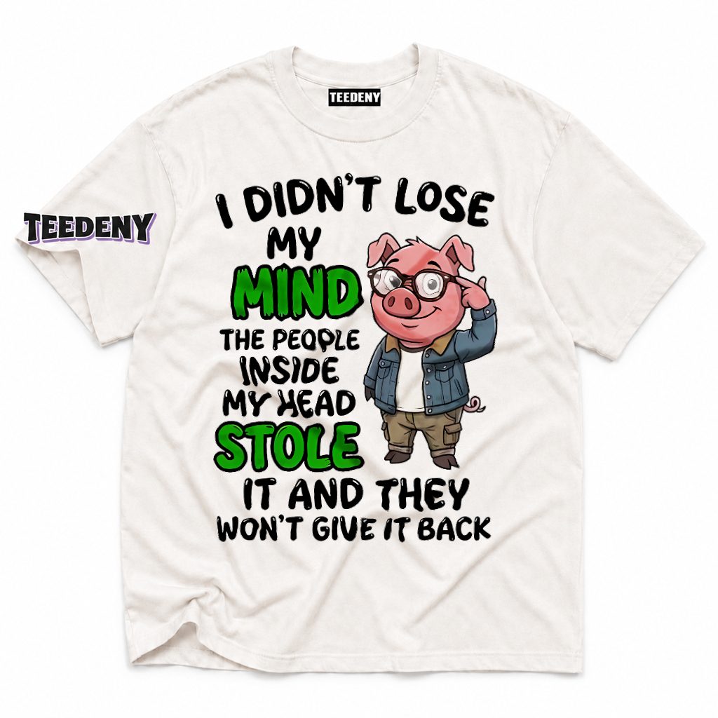 Didn't Lose Mind People Inside Head Stole It Funny Pig T-Shirt